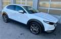 Mazda CX-30 X186 GT+ mit Navigation Weiß - thumbnail 6