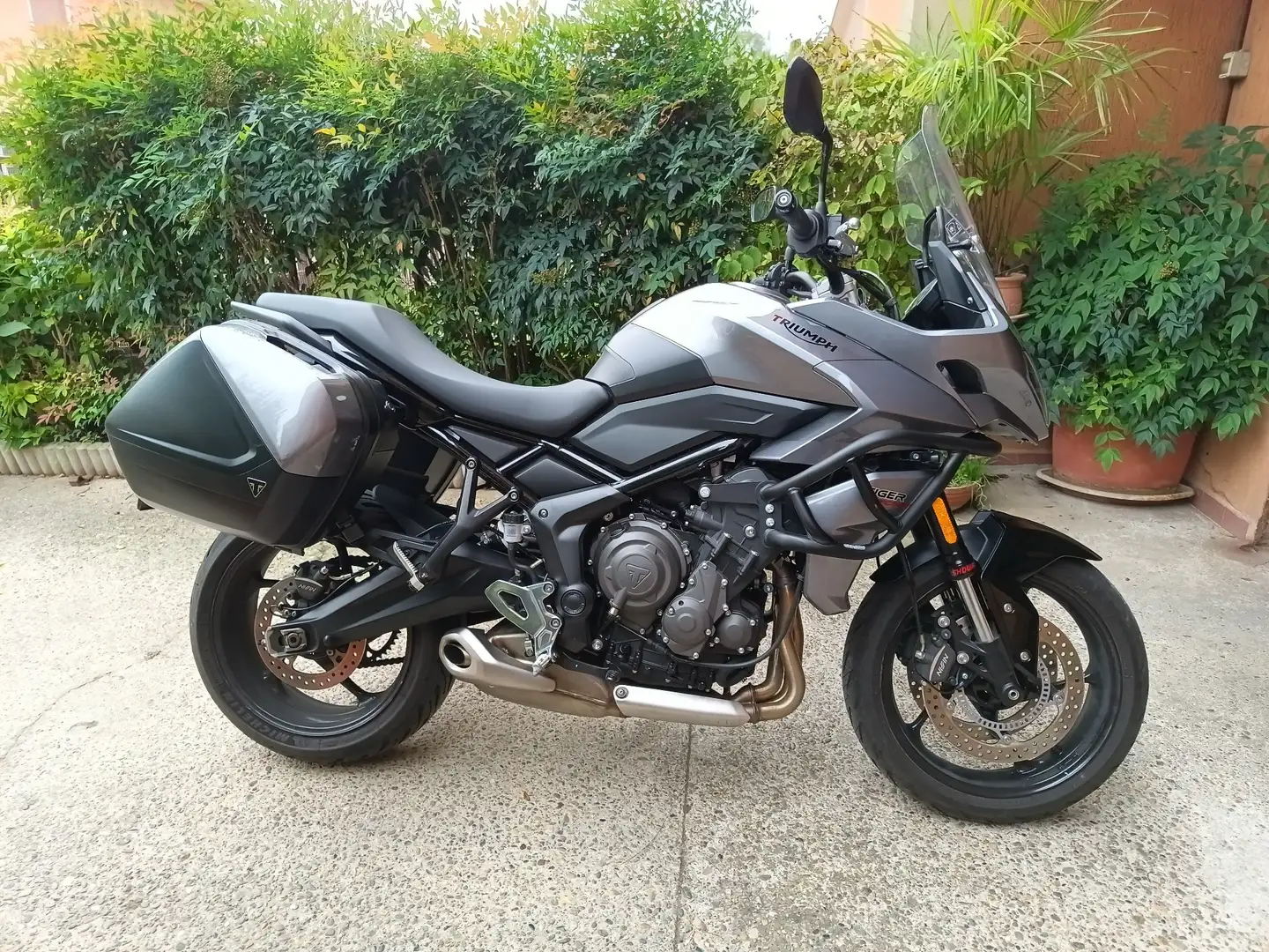 Triumph Tiger Sport Gris - 2