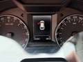 Skoda Octavia Elegance 4x4 Weiß - thumbnail 5