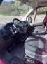 Fiat Ducato 33 2.3 MJT 140CV PM-TM Furgone Rouge - thumbnail 11