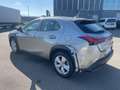 Lexus UX 250h UX Hybrid Business    IVA ESPOSTA COMPRESA - thumbnail 4