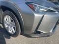 Lexus UX 250h UX Hybrid Business    IVA ESPOSTA COMPRESA - thumbnail 9