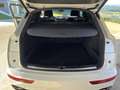 Audi Q5 50 TDI QUATTRO GARANTIE S-LINE INNEN UND AUSSEN 20ZOLL ASSISTENZMMI PLUS KAMERA KESSY MULTI Weiß - thumbnail 26