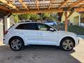 Audi Q5 50 TDI QUATTRO GARANTIE S-LINE INNEN UND AUSSEN 20ZOLL ASSISTENZMMI PLUS KAMERA KESSY MULTI Weiß - thumbnail 4