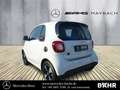 smart forTwo smart EQ fortwo Klima/Sitzhzg./MF-Lenkrad/BC/eFH Weiß - thumbnail 3