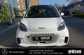 smart forTwo smart EQ fortwo Klima/Sitzhzg./MF-Lenkrad/BC/eFH Weiß - thumbnail 7