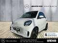 smart forTwo smart EQ fortwo Klima/Sitzhzg./MF-Lenkrad/BC/eFH Weiß - thumbnail 1
