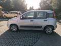 Fiat Panda 1.2 Easy 69cv E6 PERFETTA - thumbnail 5