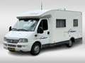 Fiat 244 Challenger 102/Camper/Camera/Luifel/Frans Weiß - thumbnail 5