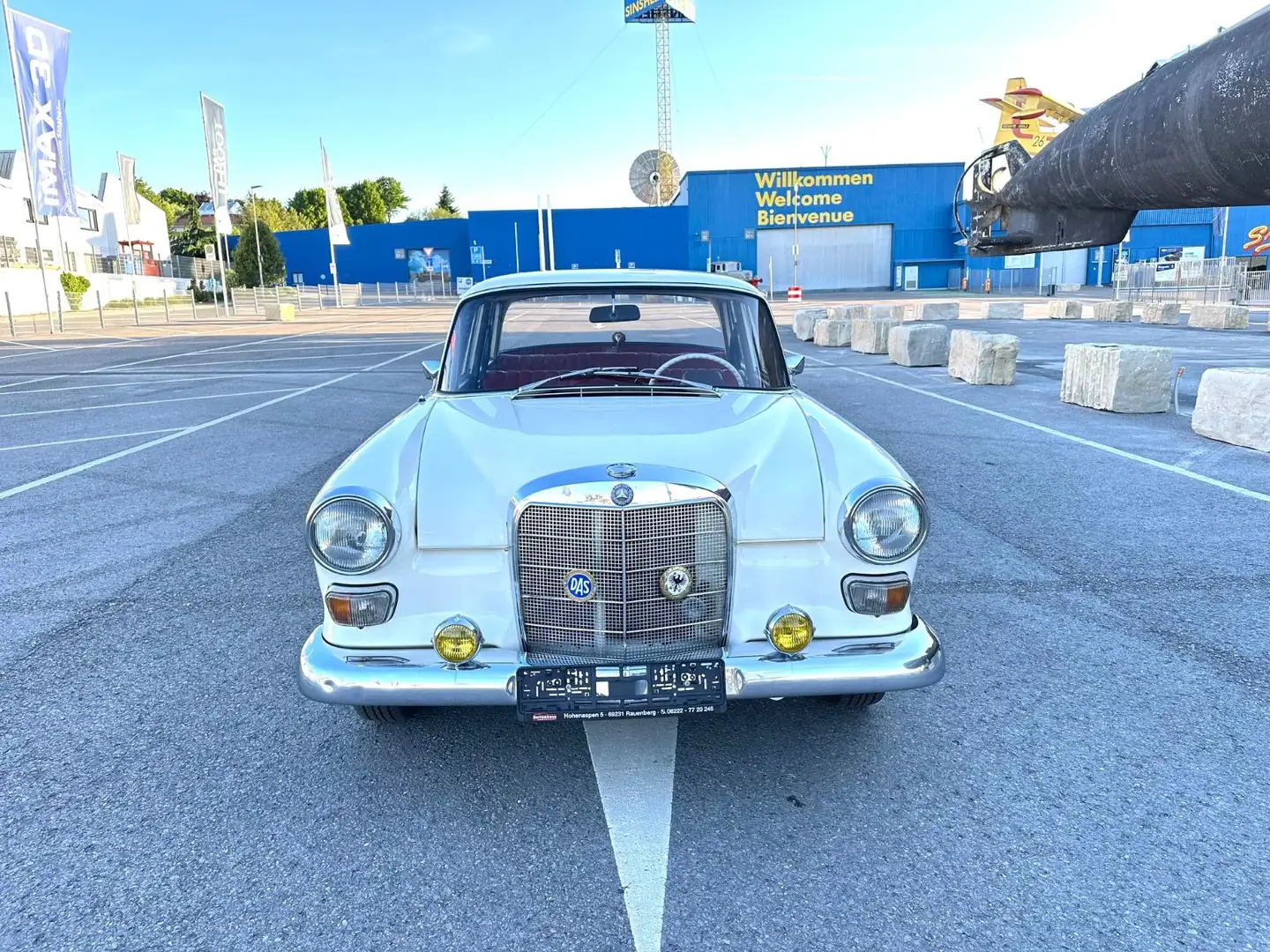 Mercedes-Benz 200 D  12.1967 Alb - 2