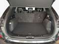 Ford Kuga 2.0 EcoBlue Aut. ST-LINE X Grau - thumbnail 6
