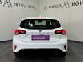 Ford Focus 1,5 EcoBlue Trend Aut. Weiß - thumbnail 5