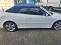 Saab 9-3 Cabriolet 1.9 ttid Aero KM 102.000 Weiß - thumbnail 23