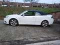 Saab 9-3 Cabriolet 1.9 ttid Aero KM 102.000 Weiß - thumbnail 3