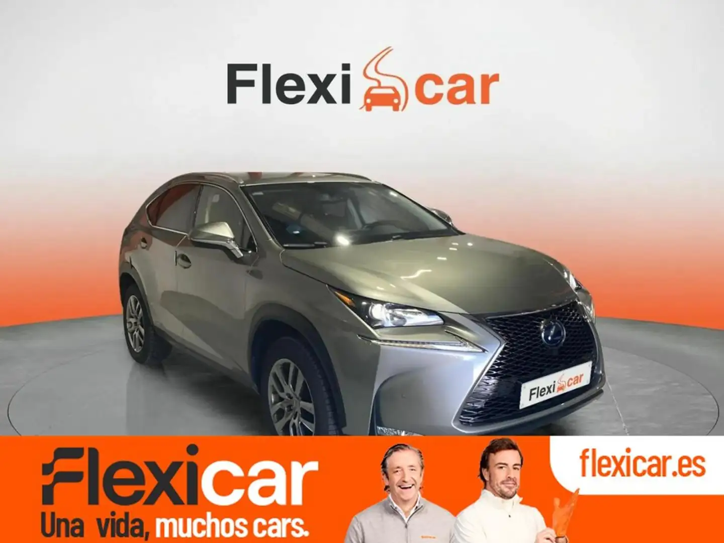 Lexus NX 300h 2.5 Business 2WD Gris - 1