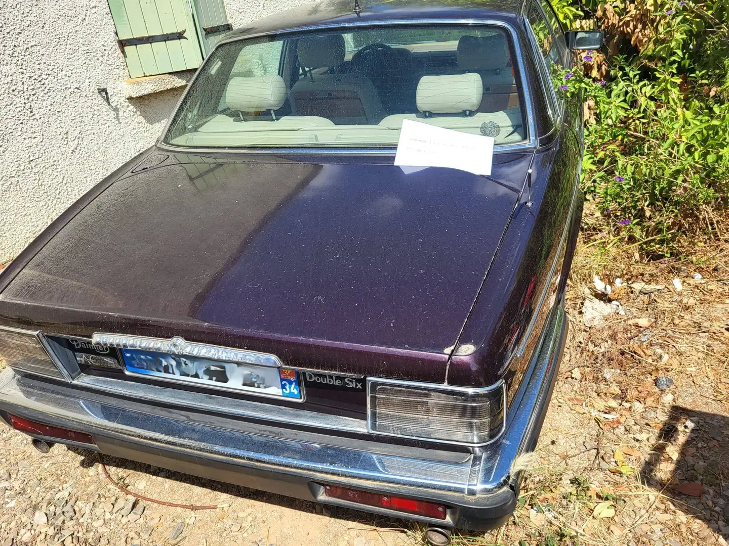 Daimler Double Six V12 6.0 litres XJ81 - XJ40 Violett - 2