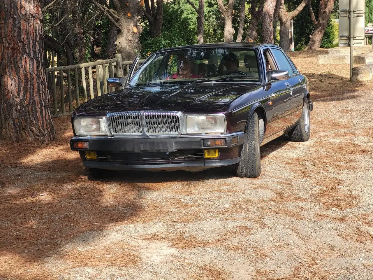 Daimler Double Six