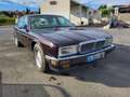 Daimler Double Six V12 6.0 litres XJ81 - XJ40 Violett - thumbnail 11