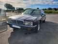 Daimler Double Six V12 6.0 litres XJ81 - XJ40 Violett - thumbnail 3