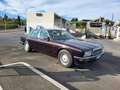 Daimler Double Six V12 6.0 litres XJ81 - XJ40 Violett - thumbnail 9