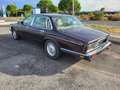 Daimler Double Six V12 6.0 litres XJ81 - XJ40 Violett - thumbnail 10