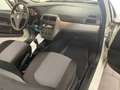 Fiat Punto 1.2 8V 69CV 3 porte-UNIPRO-CLIMA-BLUETOOTH Weiß - thumbnail 10