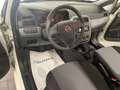 Fiat Punto 1.2 8V 69CV 3 porte-UNIPRO-CLIMA-BLUETOOTH Weiß - thumbnail 6