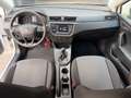 SEAT Ibiza 1.0 Austria Edition, 8 Fach bereift Weiß - thumbnail 8