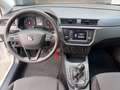SEAT Ibiza 1.0 Austria Edition, 8 Fach bereift Weiß - thumbnail 9