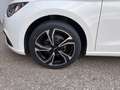 SEAT Ibiza 1.0 Austria Edition, 8 Fach bereift Weiß - thumbnail 18