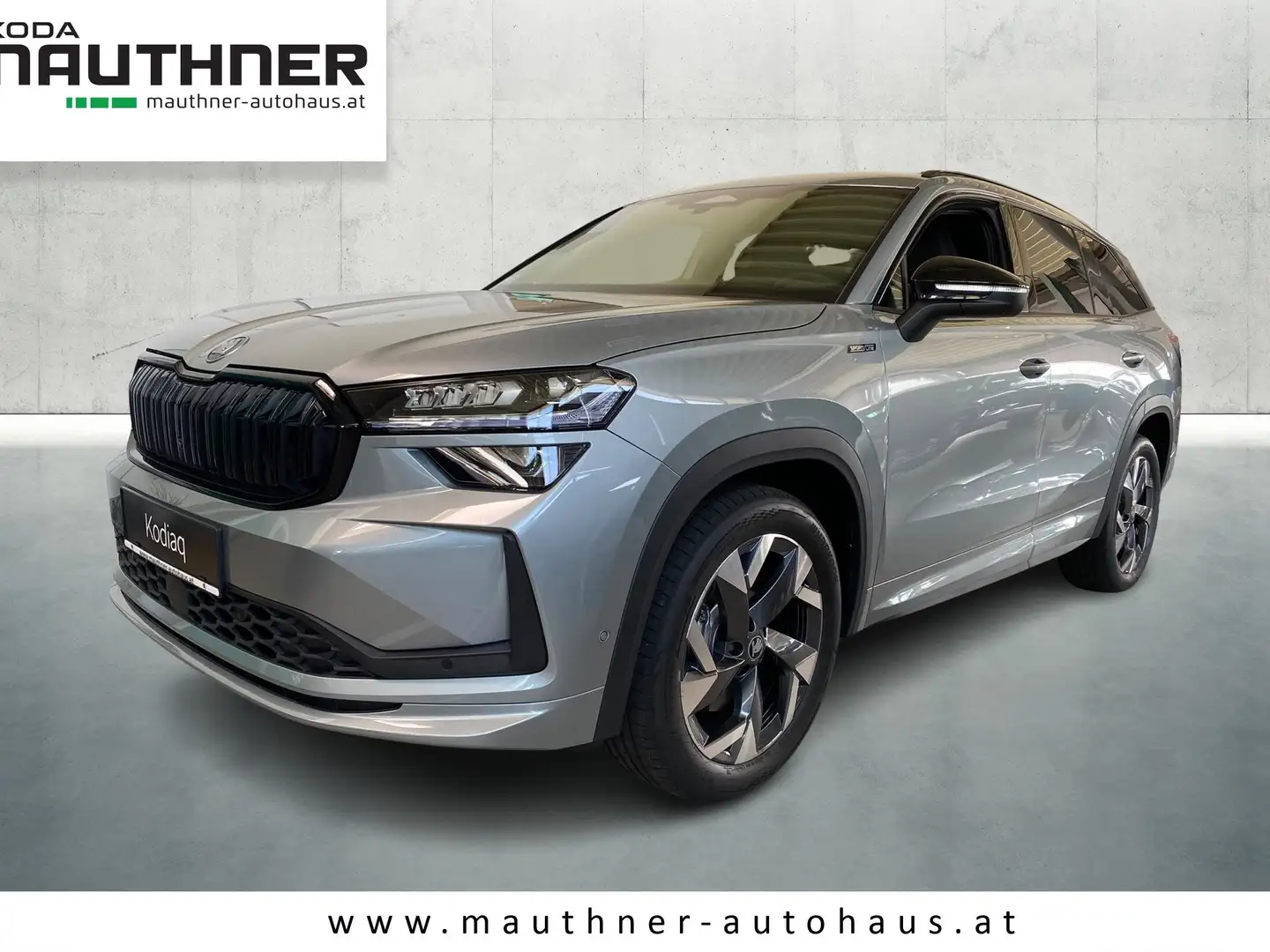 Skoda Kodiaq 2.0 TDI 142 kW 4x4 Sportline Silber - 1