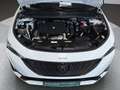 Peugeot 308 SW BlueHDi 130 S&S EAT8 Allure Pack Weiß - thumbnail 6