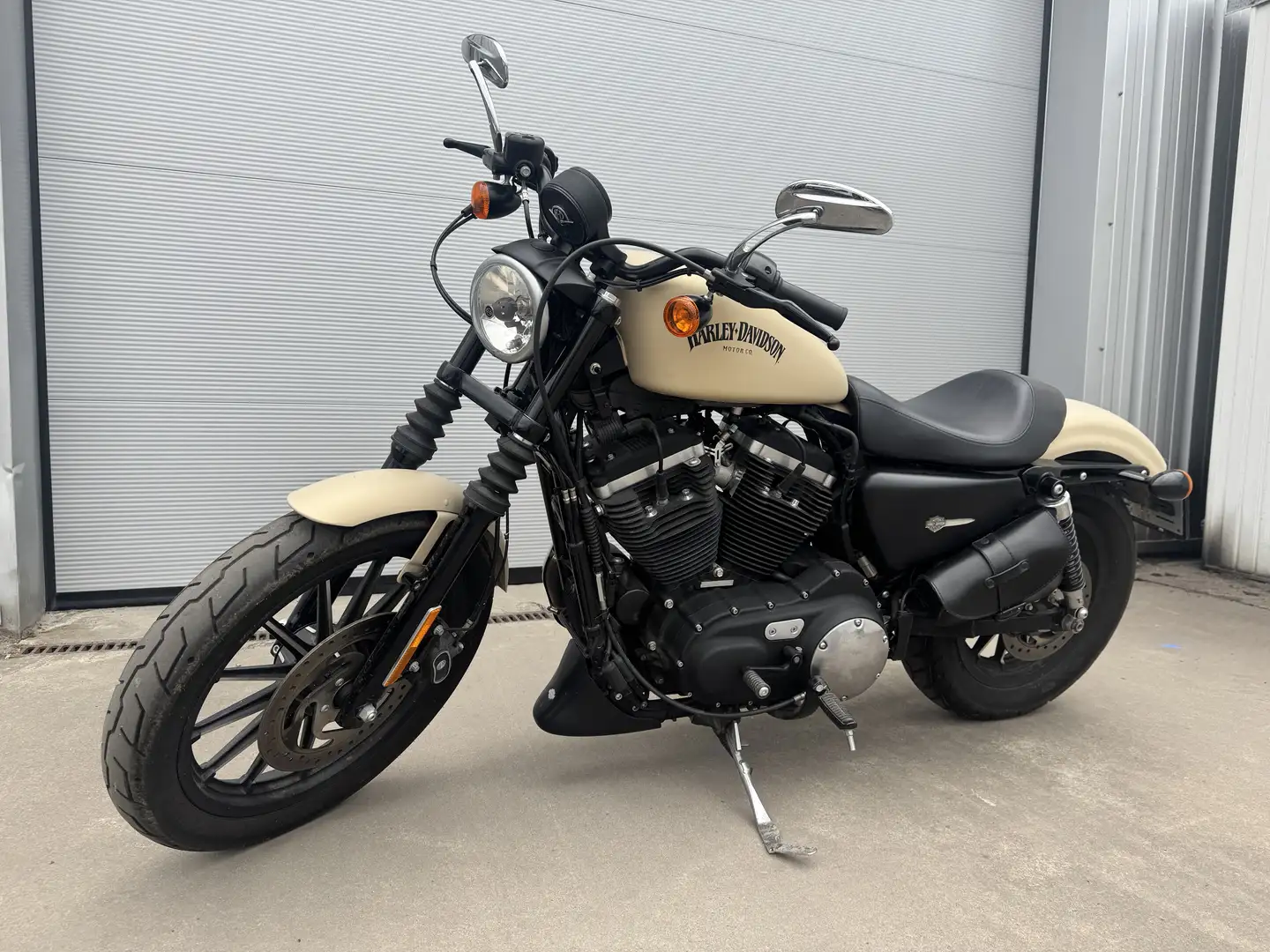 Harley-Davidson Iron 883 Teinte spéciale beige mat Bej - 1