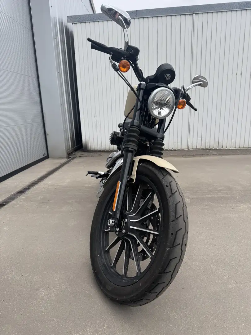 Harley-Davidson Iron 883 Teinte spéciale beige mat Bej - 2
