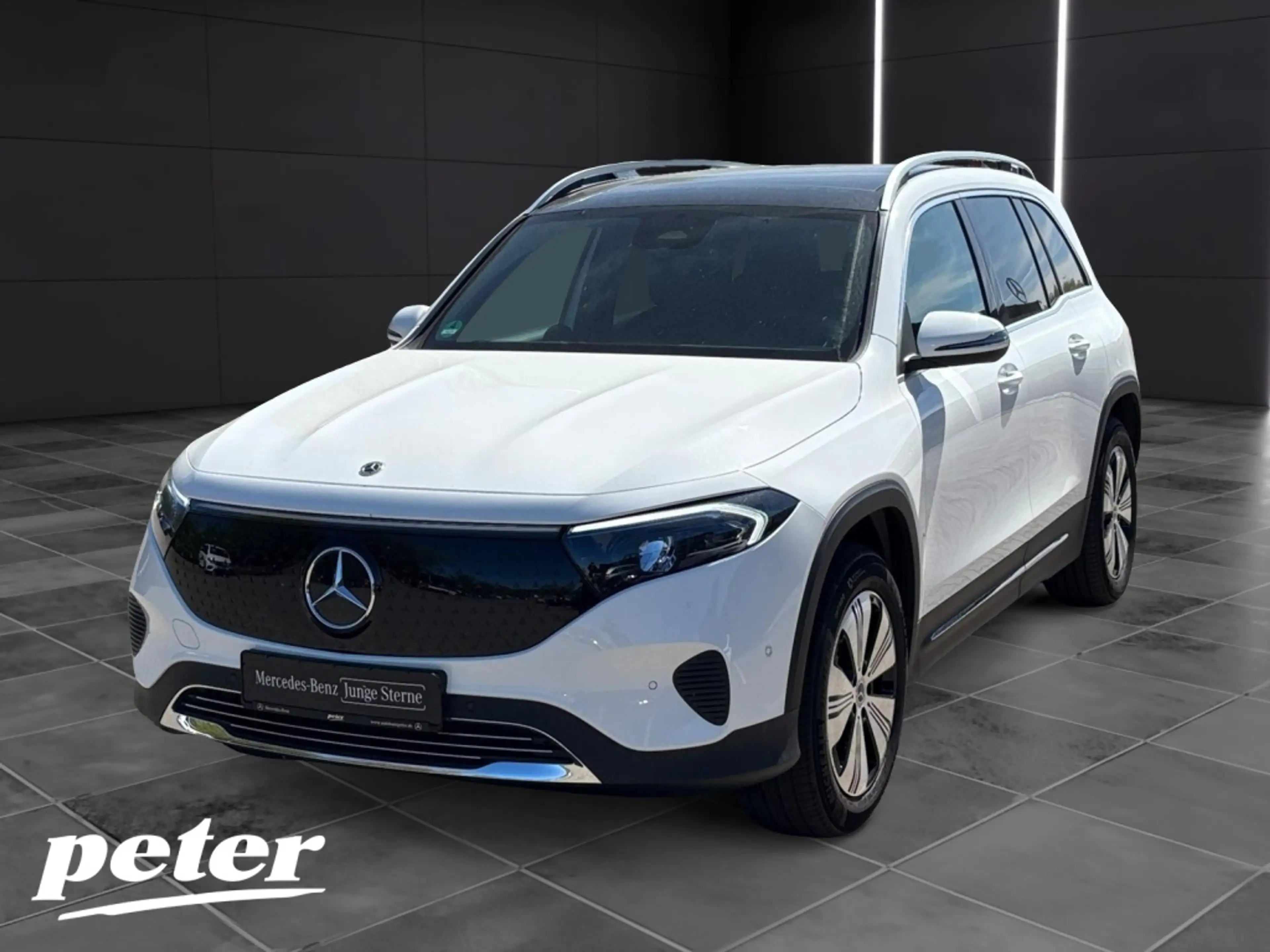 Mercedes-Benz EQB 300 4MATIC Progressive*Panoramadach