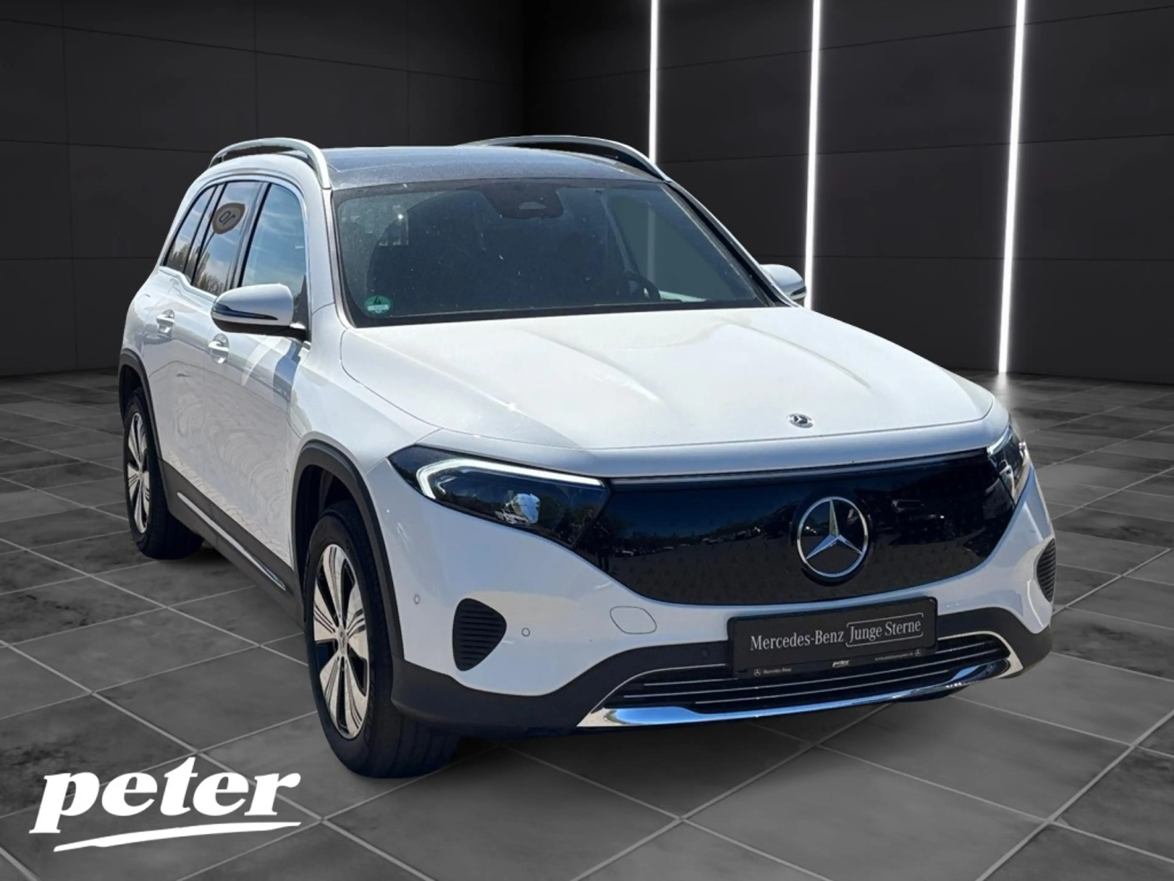 Mercedes-Benz EQB 300 4MATIC Progressive*Panoramadach — photo 4