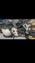 BMW F 850 GS - thumbnail 4