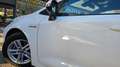 Toyota Corolla 125H Business Blanco - thumbnail 42