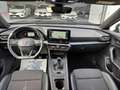 CUPRA Formentor 2.0 TDI VIRTUAL COCKPIT Blu/Azzurro - thumbnail 9