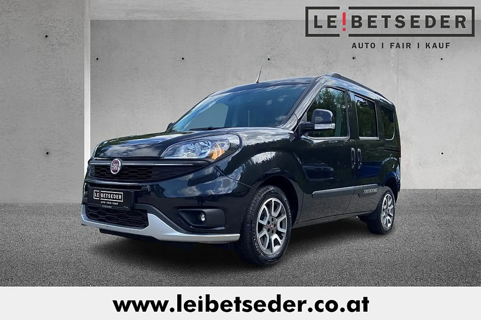 Fiat Doblo L1H1 1,6 MultiJet 120 Trekking Noir - 1
