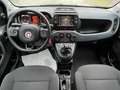 Fiat Panda Panda 1.0 firefly hybrid City Cross Grigio - thumbnail 4