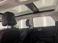 Ford Edge USA 2.0 Ecoboost Sel EX.BTW EX.BPM Grau - thumbnail 13