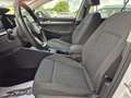 Volkswagen Golf 2.0 TDI SCR Style Bianco - thumbnail 12