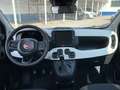 Fiat Panda Pandina Cross 1.0 Hybrid 70CV / IN PRONTA CONSEGNA Blu/Azzurro - thumbnail 9