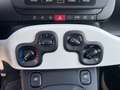 Fiat Panda Pandina Cross 1.0 Hybrid 70CV / IN PRONTA CONSEGNA Blu/Azzurro - thumbnail 13