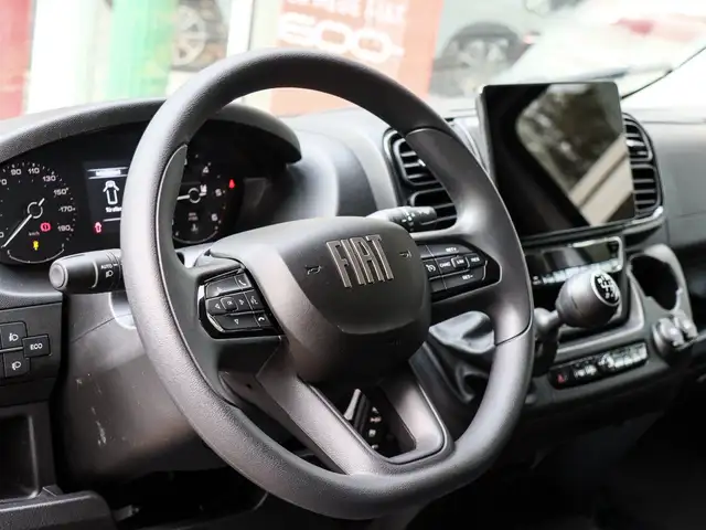 Fiat Ducato view 7