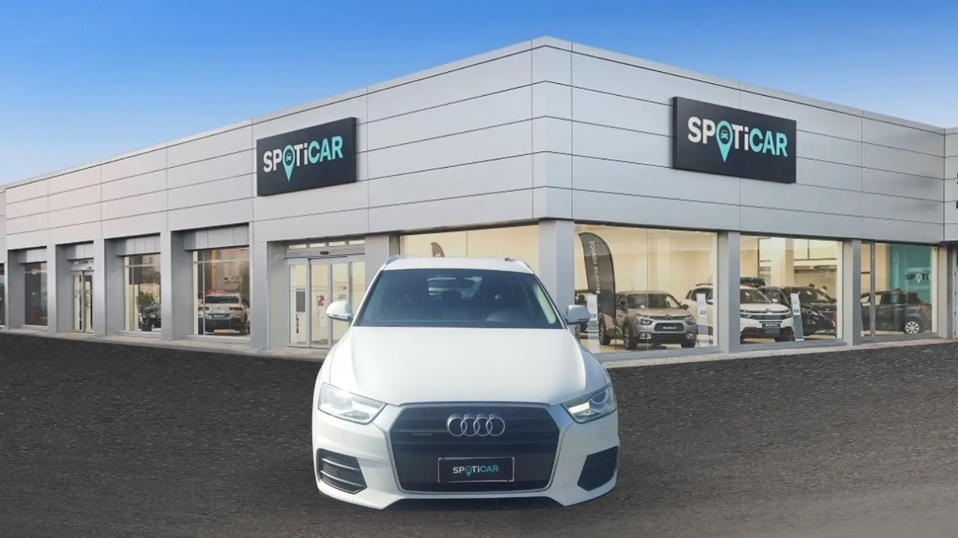 Audi Q3 2.0 tdi Business quattro 150cv s-tronic Білий - 2
