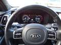 Kia Sorento 2.2 CRDI Platinum 4WD Pano , AHK Azul - thumbnail 11