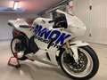 Honda CBR 600 RR Blanc - thumbnail 6