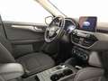 Ford Kuga 1.5 ecoblue titanium business 2wd 120cv auto Nero - thumbnail 9